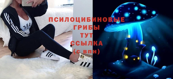молекула духа Верхний Тагил