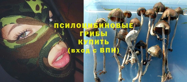 стафф Верея