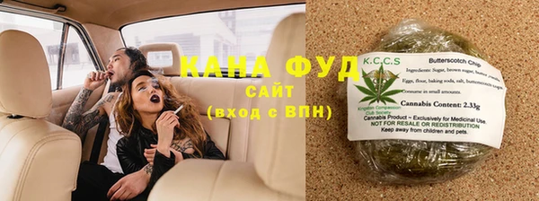 молекула духа Верхний Тагил